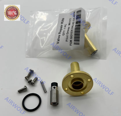 Armature M1177 Pilot Plunger For Goyen Valve CA-40TK Repair Kit Brass NBR FKM Material