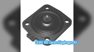 GEMU MG8 MG10 MG25 MG40 MG50 MG65 MG80 MG100 EPDM FDA Kit membrana per valvole a membrana GEMU