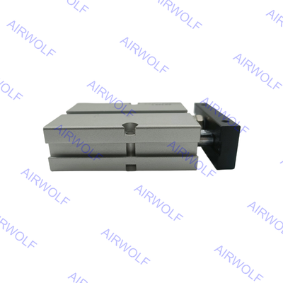 TN20X90S TN20X100S TN20X125S Serie TN Cilindro AirTAC a doppio effetto e stelo doppio