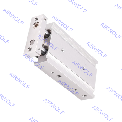 AirTAC TR20X40S TR20X50S TR20X60S TR20X70S Serie TR Cilindro a stelo doppio a doppio effetto